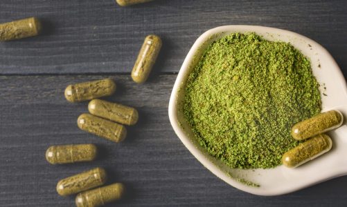 Kratom: The ultimate guide to understanding this amazing herb