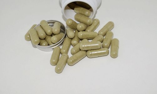 Golden Monk Kratom: all you need to know